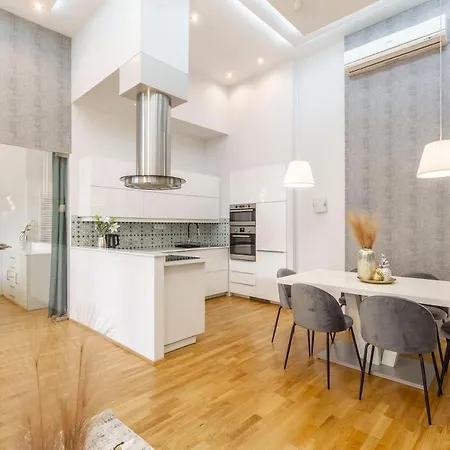 Luxurious & Spacious Downtown In Liszt Ferenc Square شقة