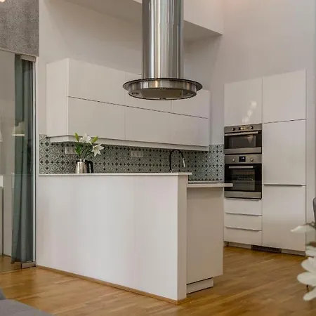 Luxurious & Spacious Downtown In Liszt Ferenc Square *